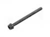 болт для крышки цилиндра Cylinder Head Bolt:022 103 384 D