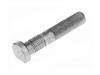 Radbolzen Wheel Bolt:03.296.33.17.1
