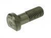 Radbolzen Wheel Bolt:6.125.312.233