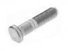 轮胎螺栓 Wheel Bolt:1 303 1075 11