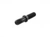 Radbolzen Wheel Bolt:03.296.17.24.0