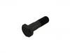 Radbolzen Wheel Bolt:6.125.312.232