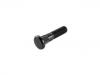 Radbolzen Wheel Bolt:067.800-00