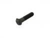 Radbolzen Wheel Bolt:0121302