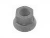 Wheel Nut:21303956