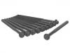 Vis de culasse Cylinder Head Bolt:668 990 01 22