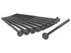 缸盖螺栓 Cylinder Head Bolt:651 016 04 69