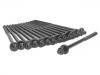 缸盖螺栓 Cylinder Head Bolt:11 12 7 798 532
