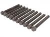 缸盖螺栓 Cylinder Head Bolt:906 016 07 69