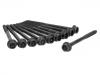 缸盖螺栓 Cylinder Head Bolt:032 103 384 B